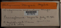 Image Associated With the Occurence